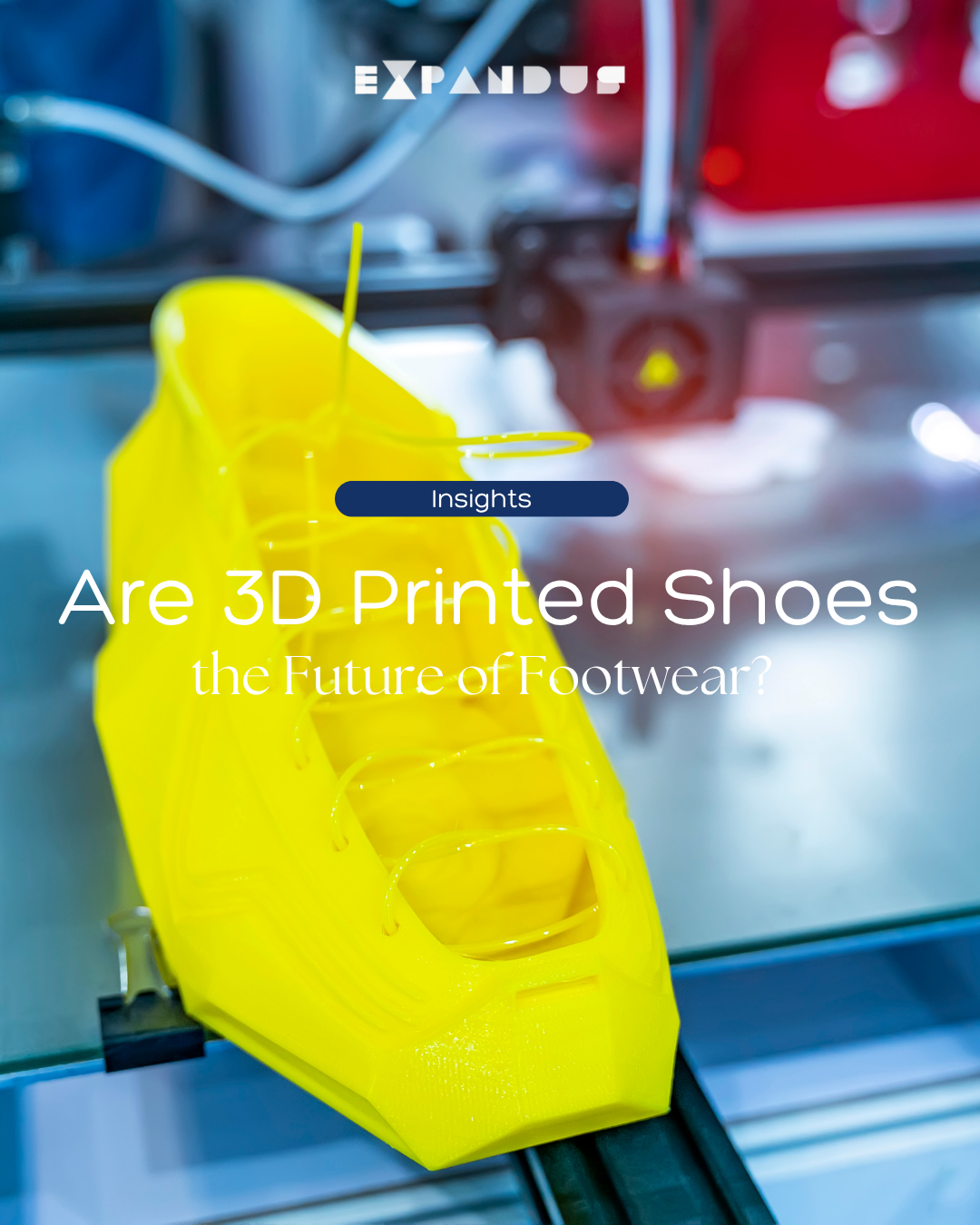 Are 3D Printed Shoes the Future of Footwear?